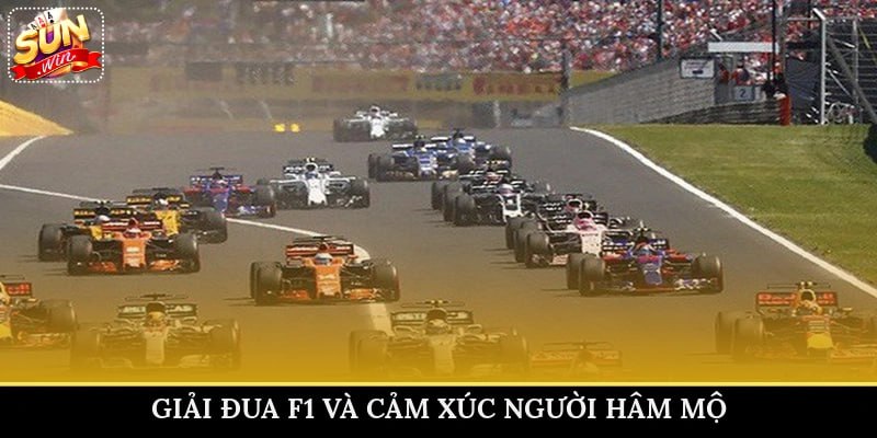 Giải đua F1 và cảm xúc người hâm mộ